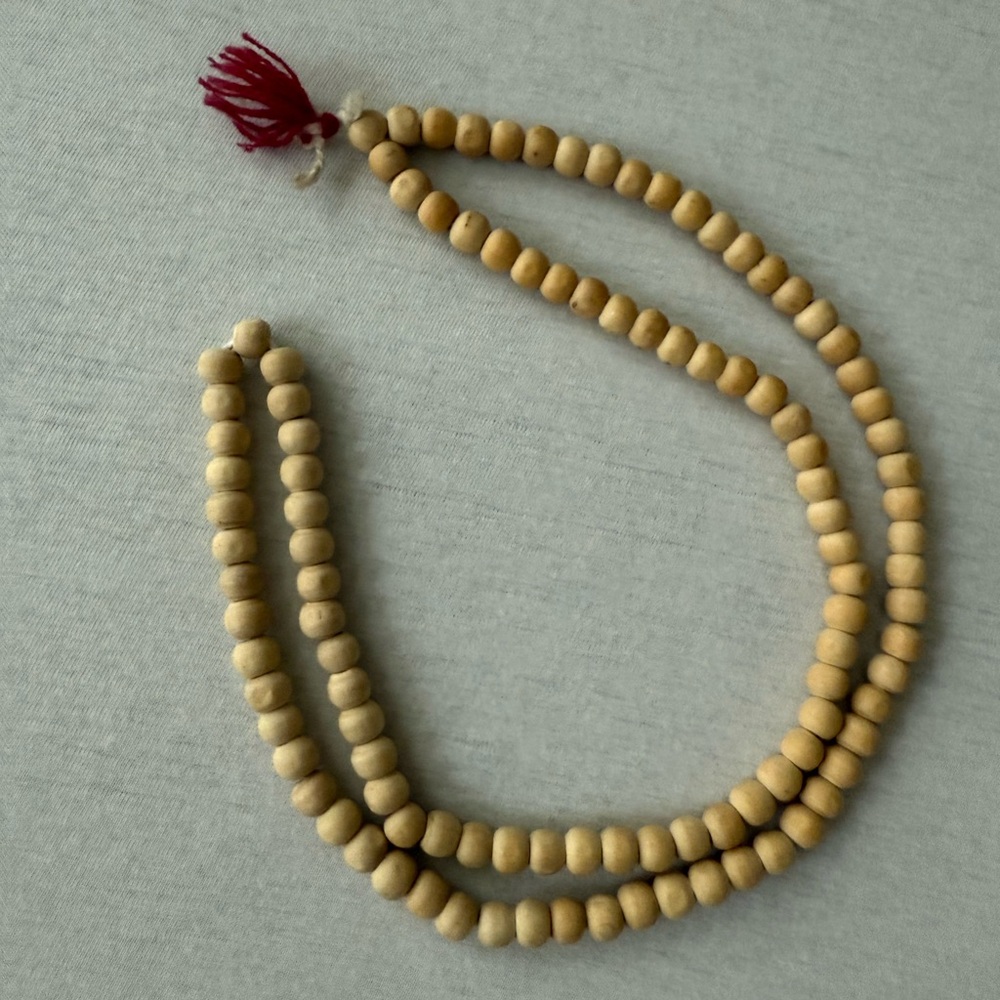 AKOLA Elegant Beige Beaded Necklace
